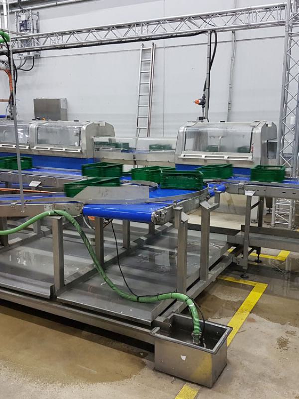  Stainless steel belt conveyors at a crate washer